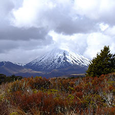 Lake Taupo (Tongario nationaal park)