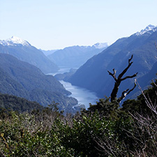 Doubtfull Sound