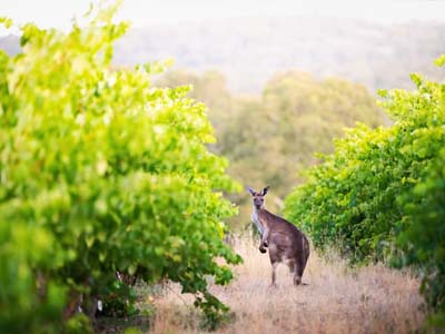 Australie
