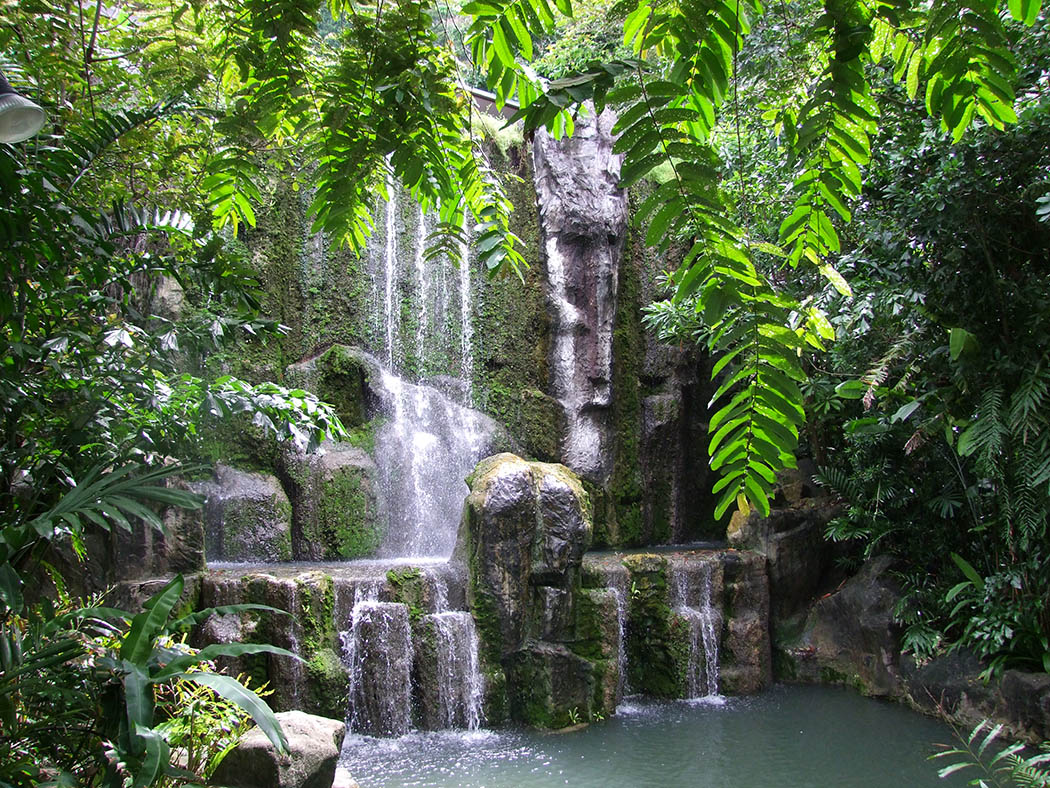 Hotel tuin