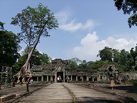 Ta Prohm