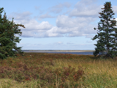 Zee zicht in National Park