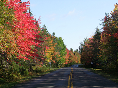 Herfst in Canada
