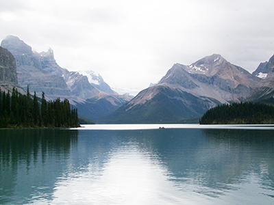 Natuur in Jasper NP