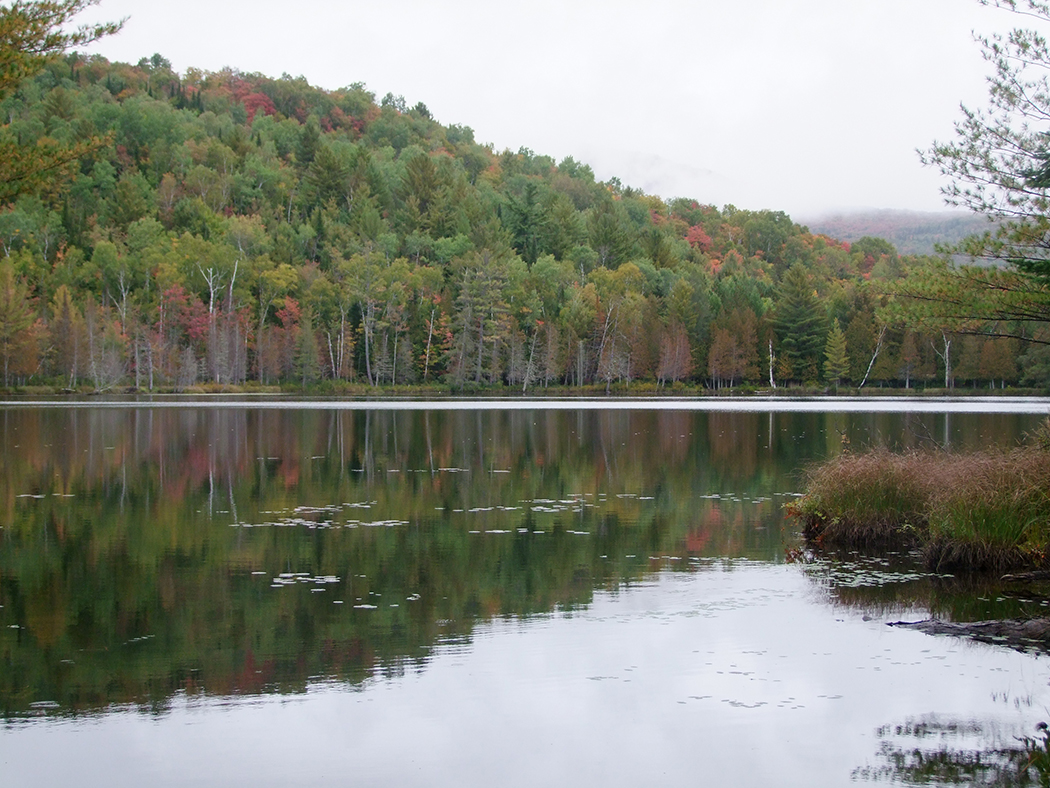 Provincionaal Park