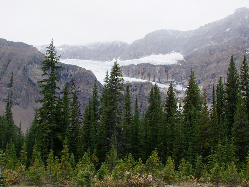 Colombia Icefield Parkway