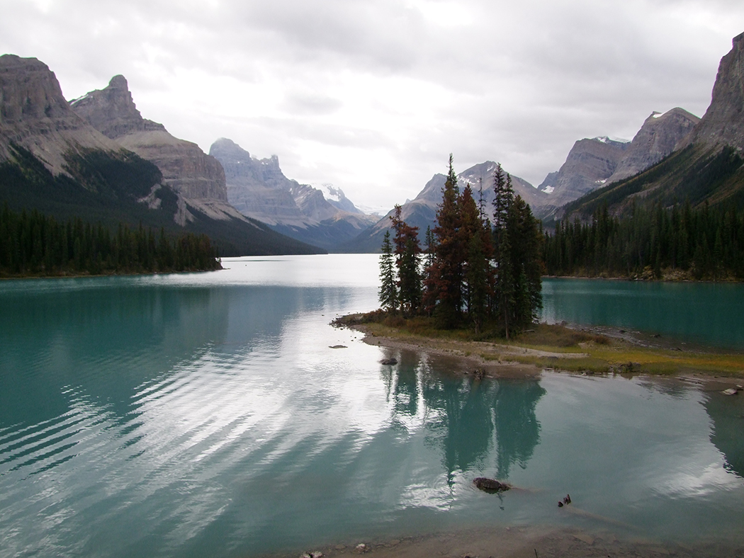 Natuur in Jasper NP