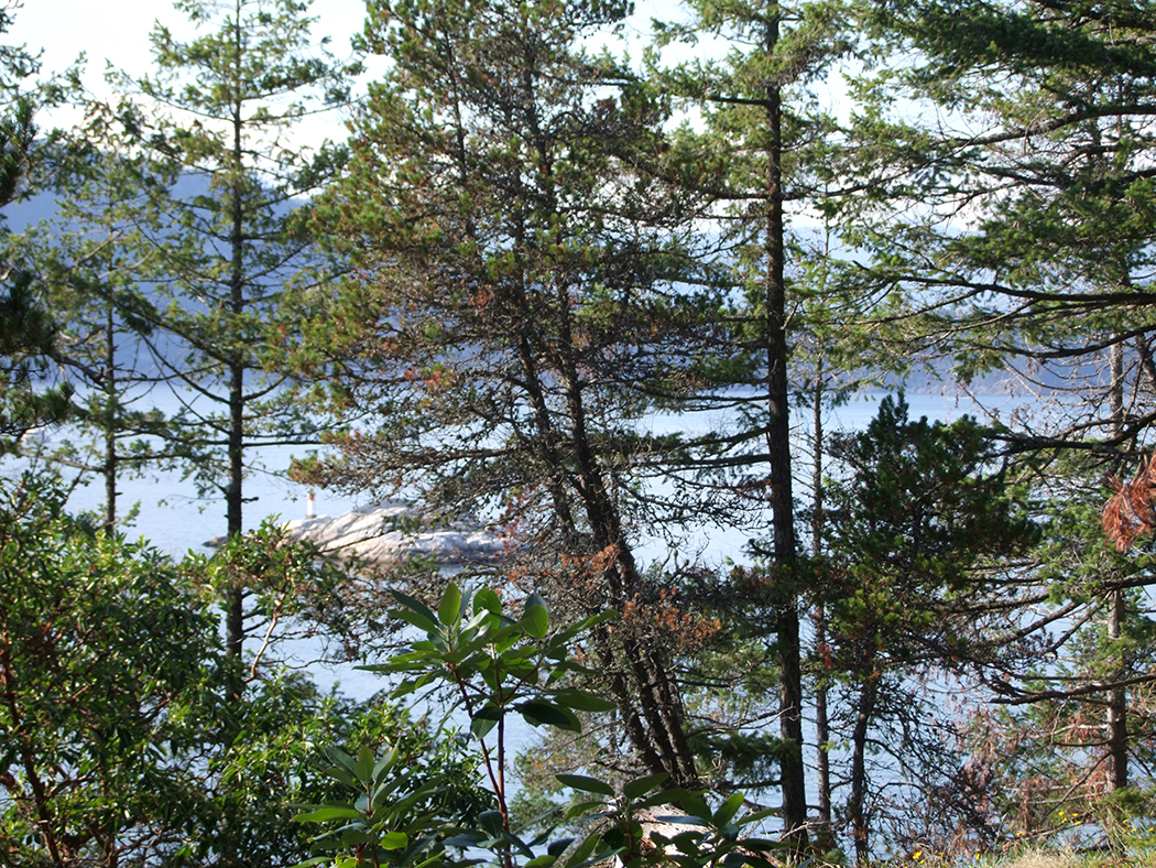 Lighthouse park wandeling