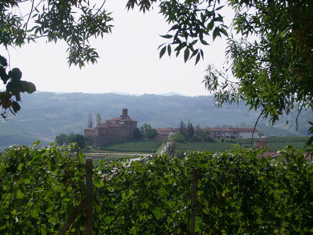 Landschap Piermonte