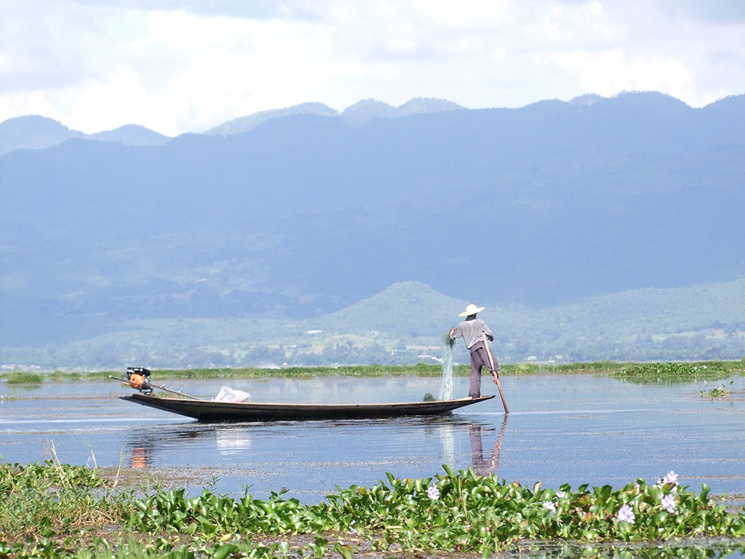 Visser op Inle Lake