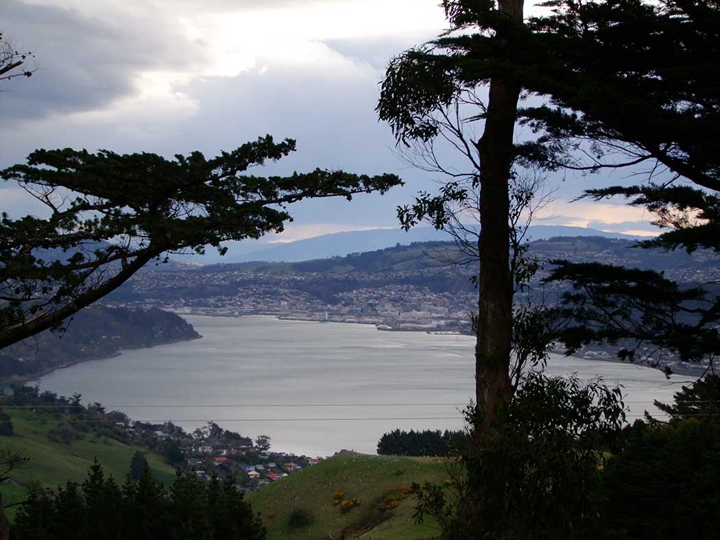 Dunedin