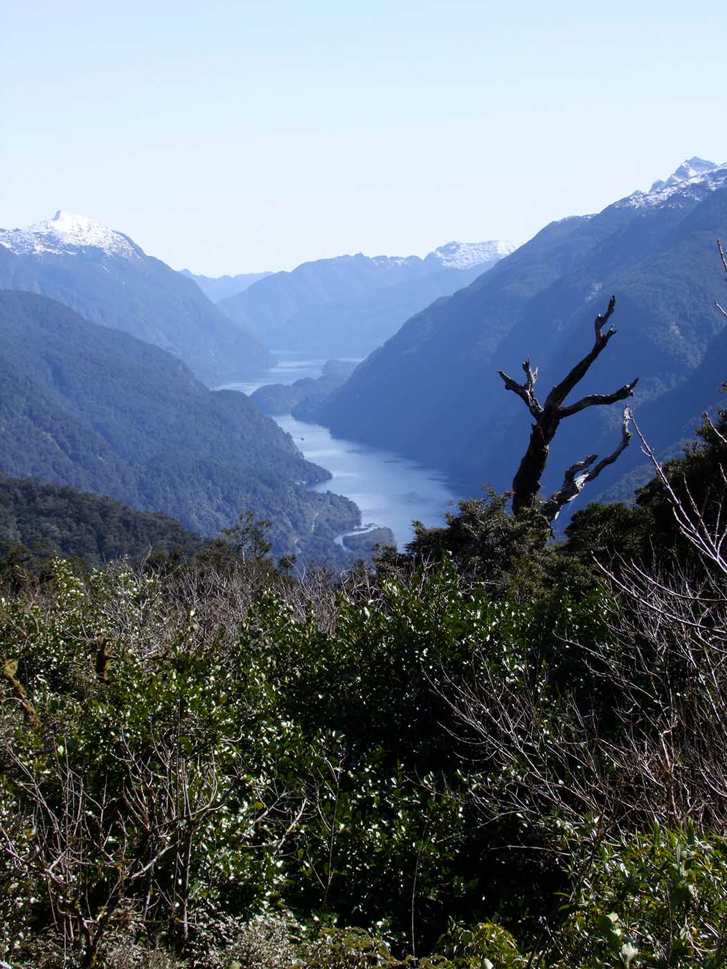 Doubtfull Sound
