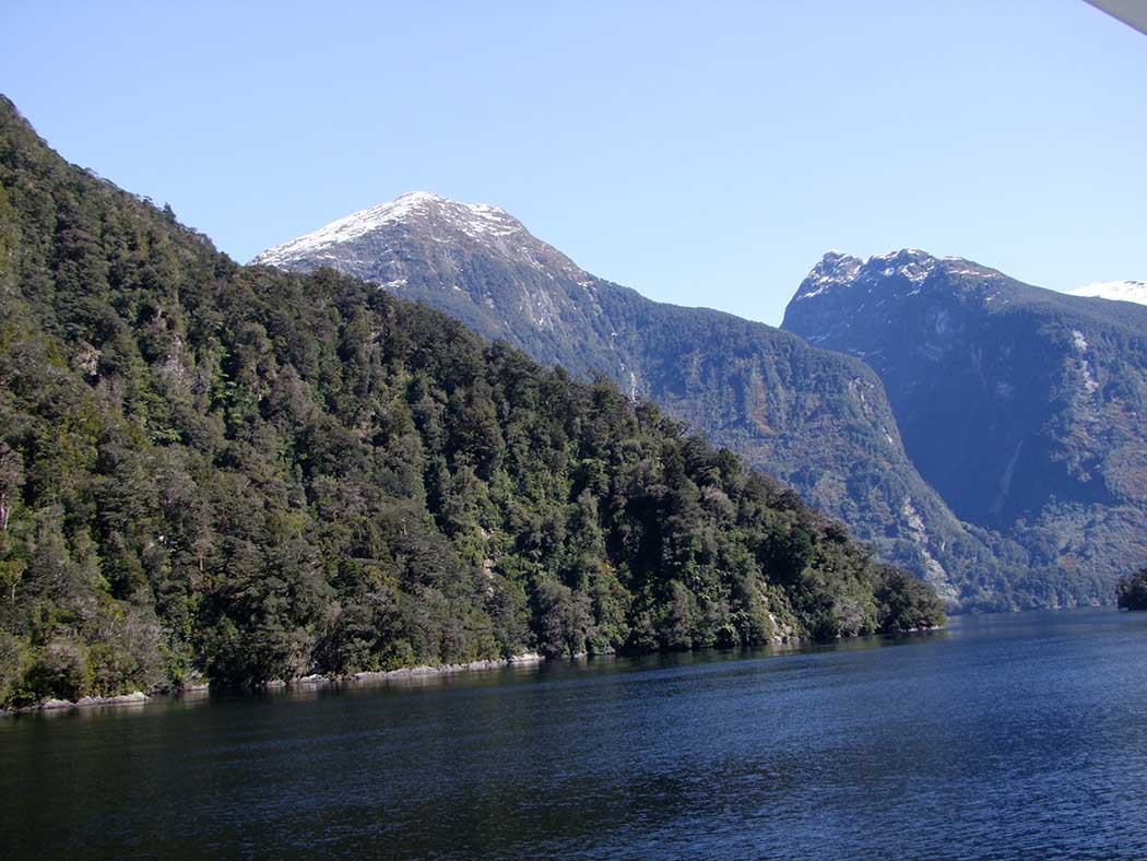 Doubtfull Sound op zuidereiland