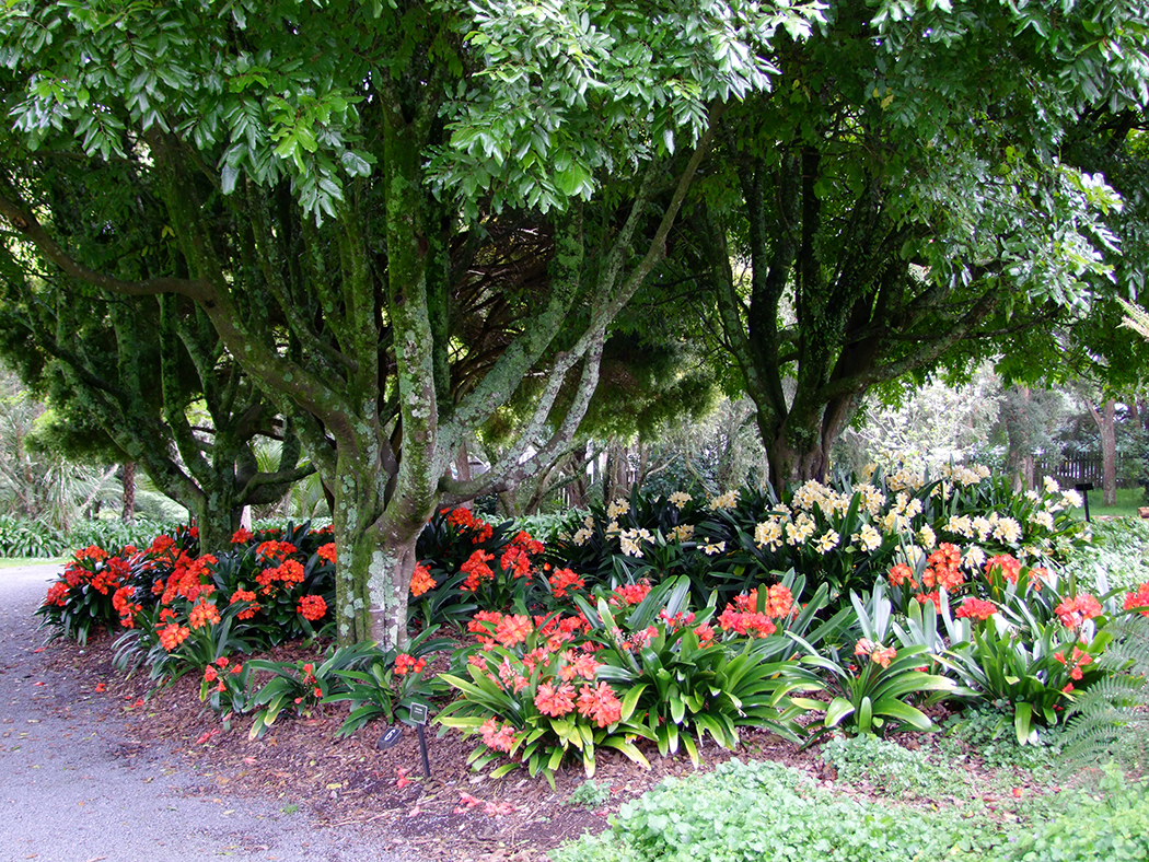 Botanische tuinen
