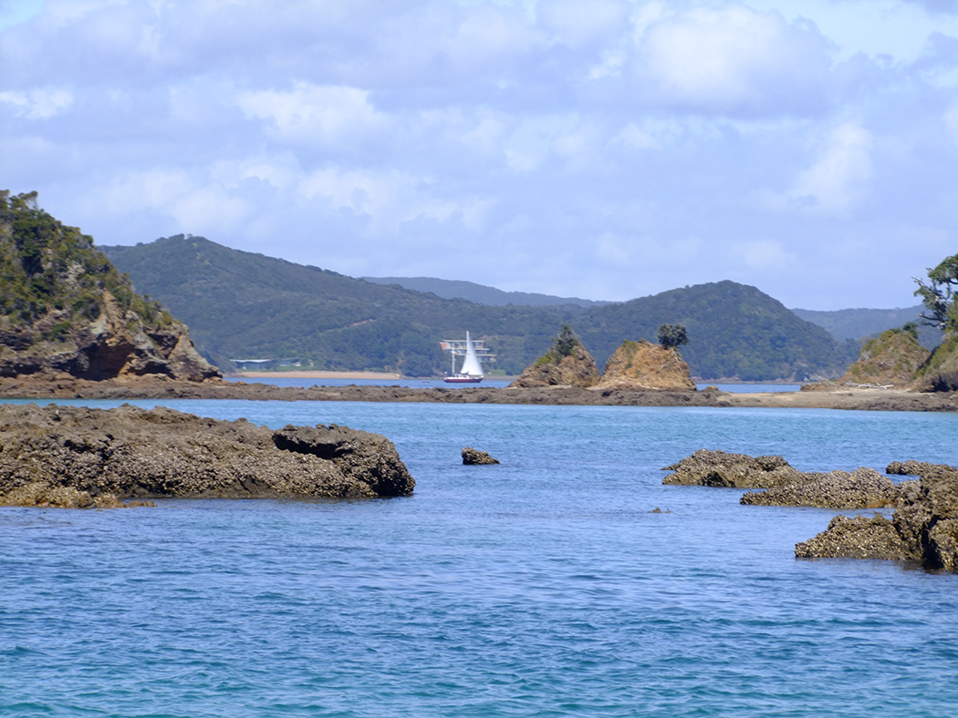 Bay of Islands