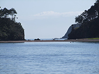 Bay of ISlands