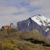 Torres del Paine