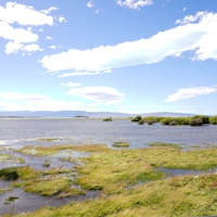 Lago Argentino