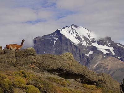 Patagonie