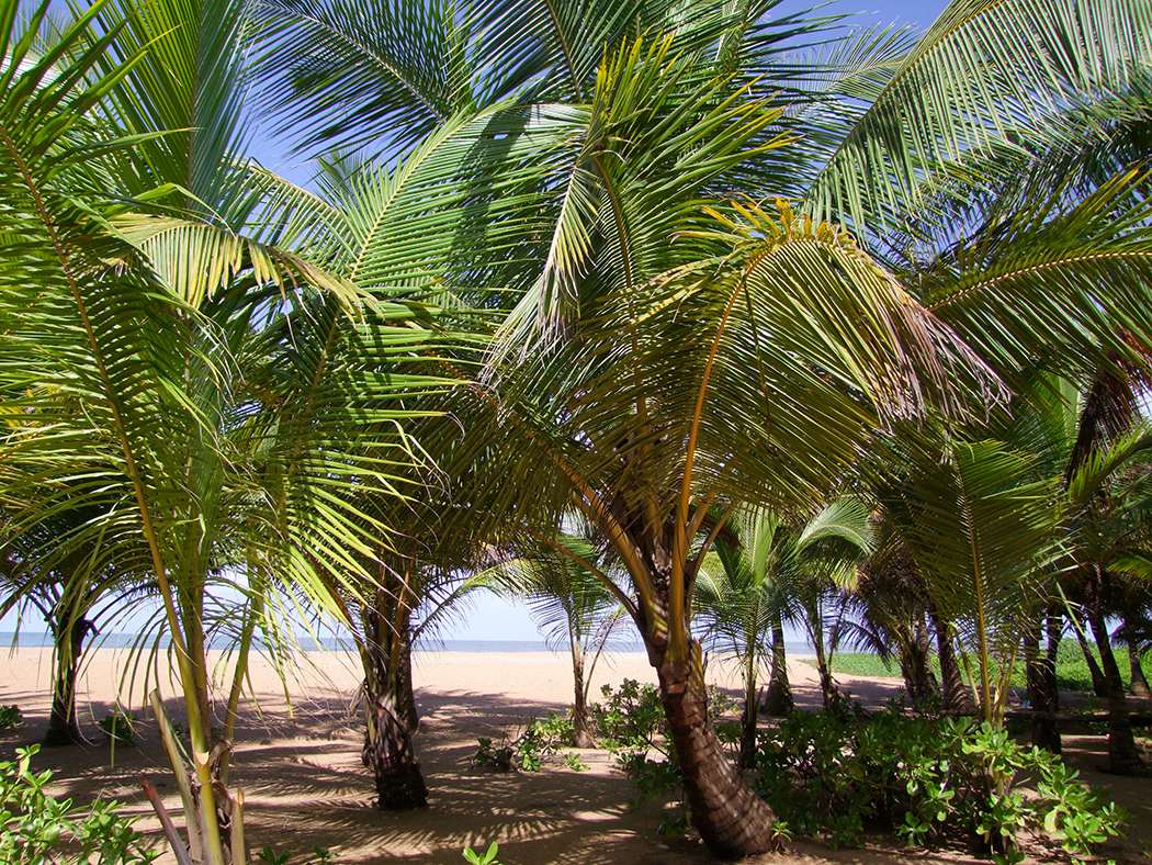 Strand vakantie in Kalutera