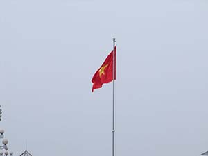 Vlag Vietnam