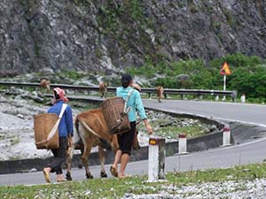 Mai Chau omgeving